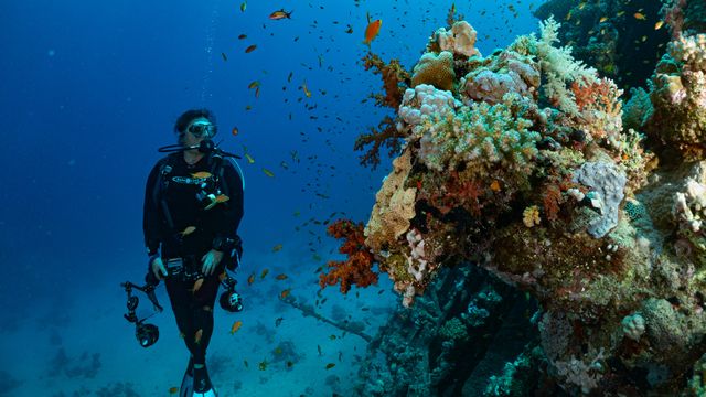 Environnement et Biologie Subaquatiques